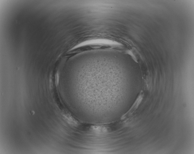 X0000068740520200605121547