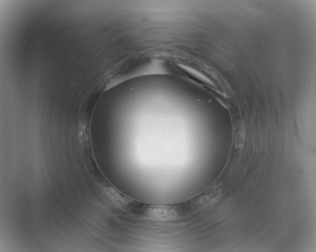 X0000068740521200605121547