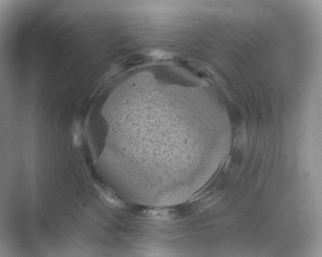 X0000068740524200605121547