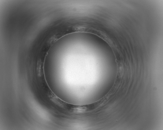 X0000068740525200605121547