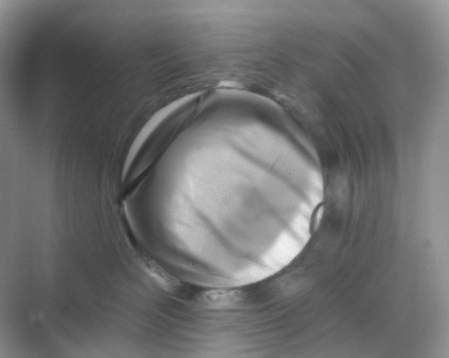 X0000068740526200605121547