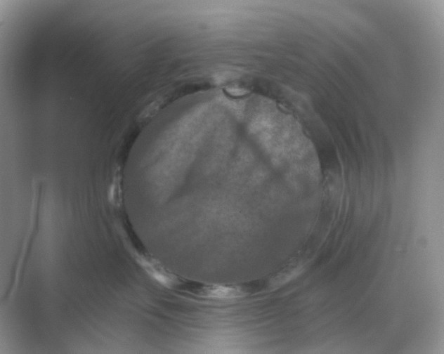 X0000068740527200605121547