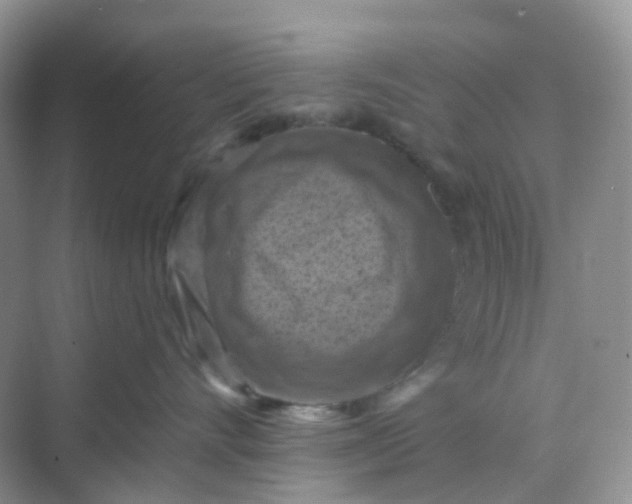 X0000068740528200605121547