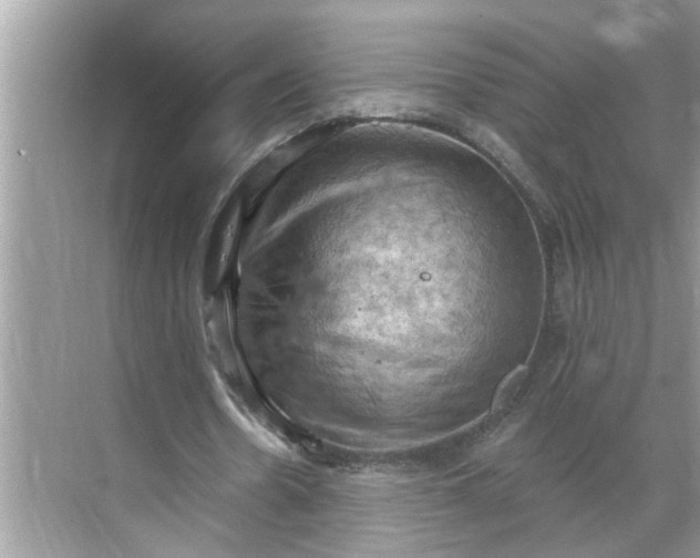 X0000068740530200605121546