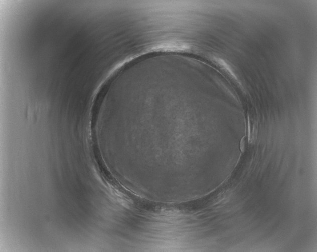 X0000068740531200605121546