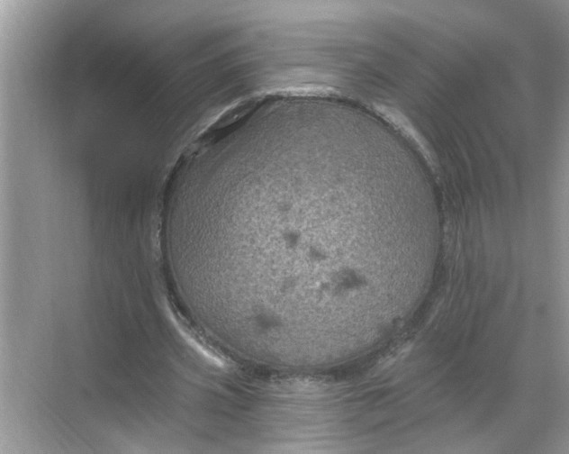 X0000068740533200605121546