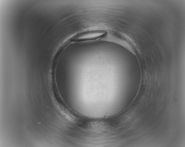 X0000068740535200605121546