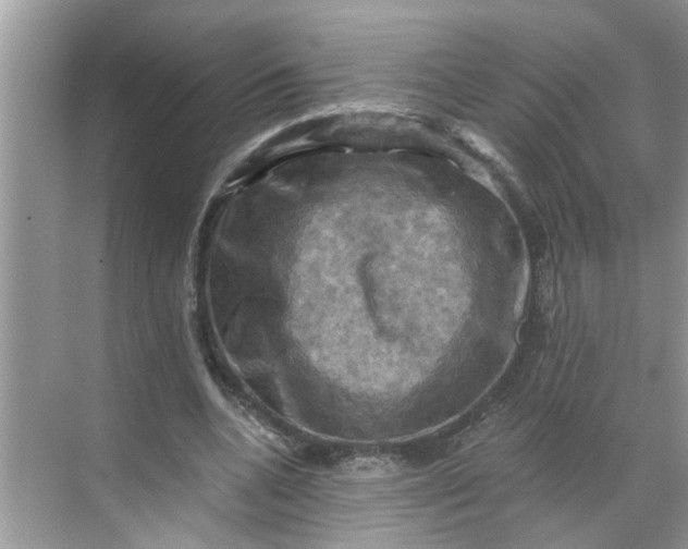 X0000068740536200605121546