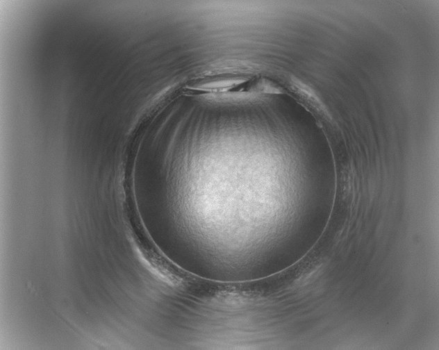 X0000068740538200605121546