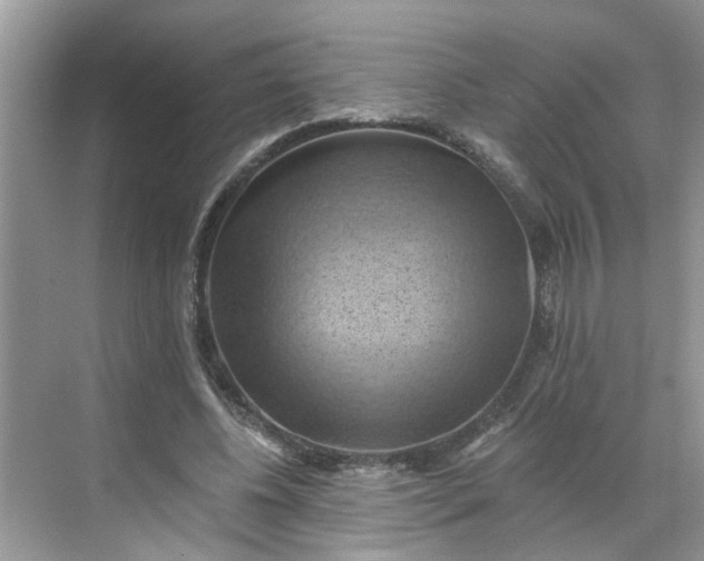 X0000068740540200605121546