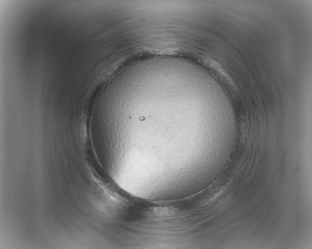 X0000068740541200605121546