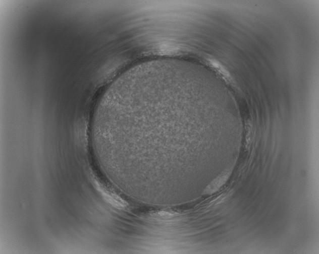 X0000068740542200605121546