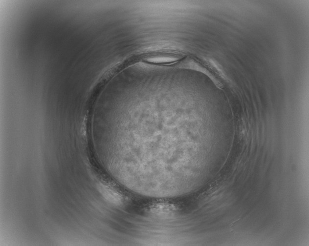 X0000068740543200605121546