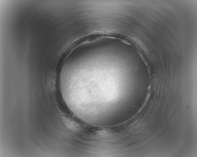 X0000068740544200605121546