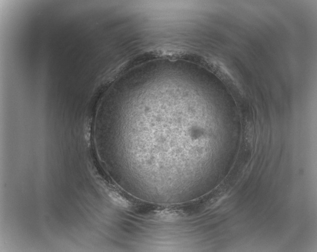 X0000068740545200605121546