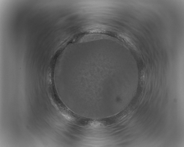 X0000068740547200605121546