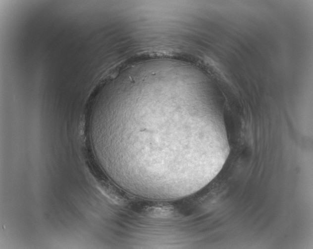 X0000068740548200605121546