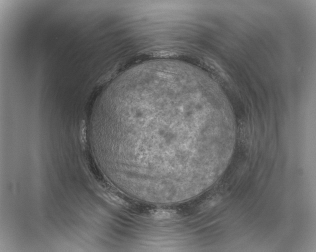 X0000068740549200605121546