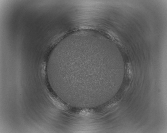 X0000068740550200605121546