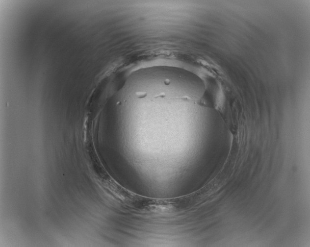 X0000068740552200605121546