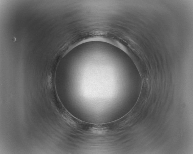 X0000068740556200605121547