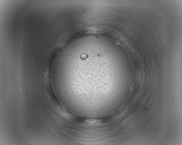 X0000068740557200605121547