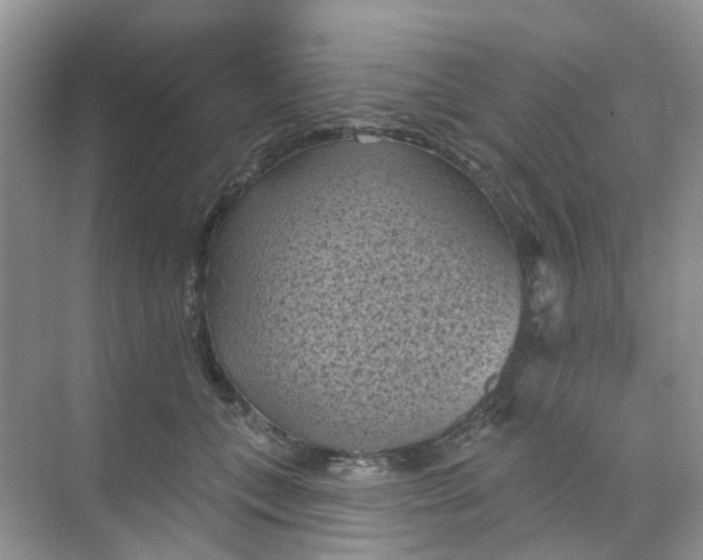 X0000068740559200605121547