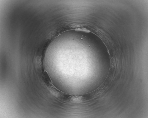 X0000068740560200605121547