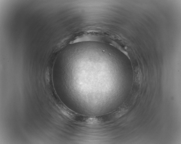 X0000068740562200605121547