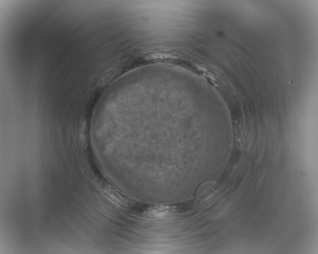 X0000068740563200605121547