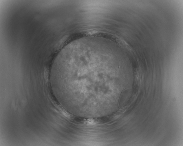 X0000068740565200605121547