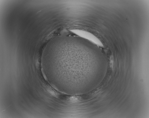 X0000068740566200605121547