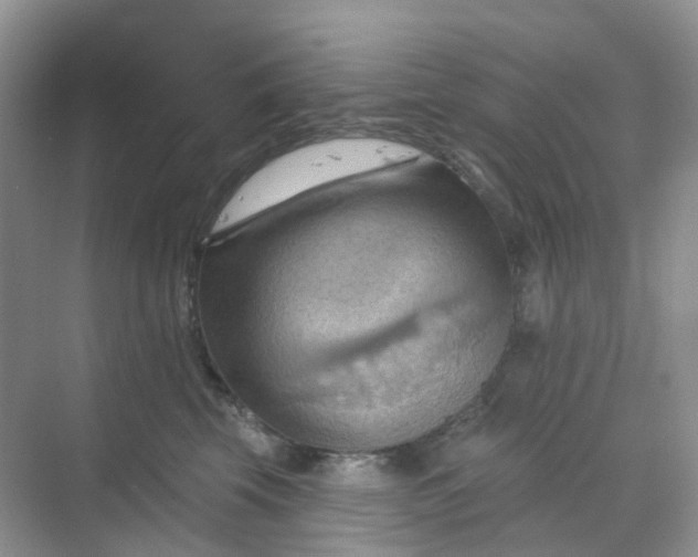 X0000068740569200605121547