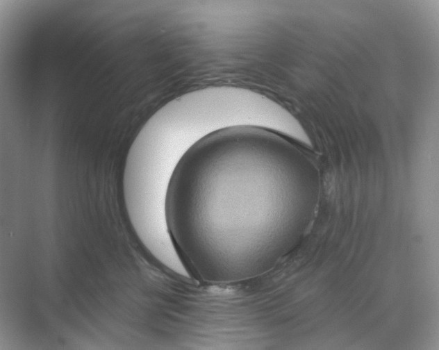 X0000068740570200605121547