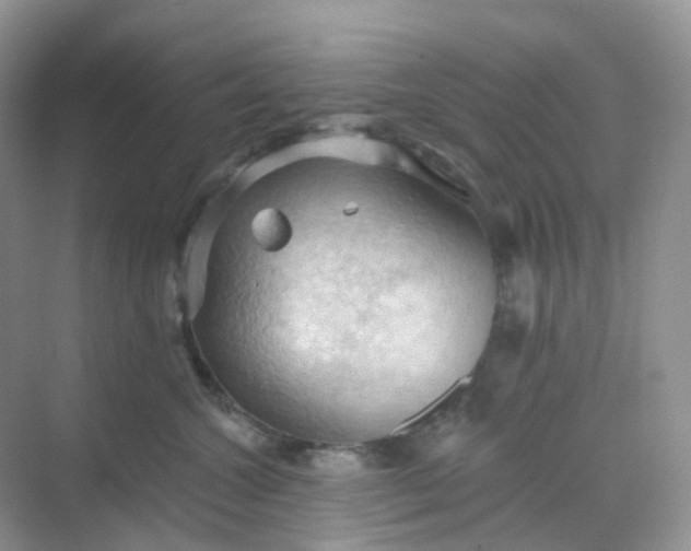 X0000068740572200605121547