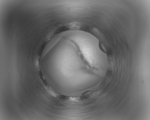 X0000068740573200605121547