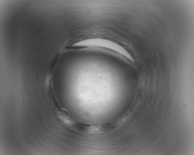 X0000068740574200605121547