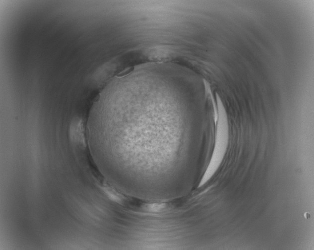 X0000068740575200605121547