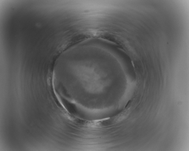 X0000068740576200605121547