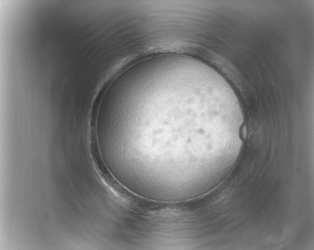 X0000068740578200605121546