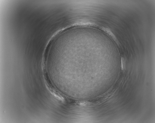 X0000068740579200605121546