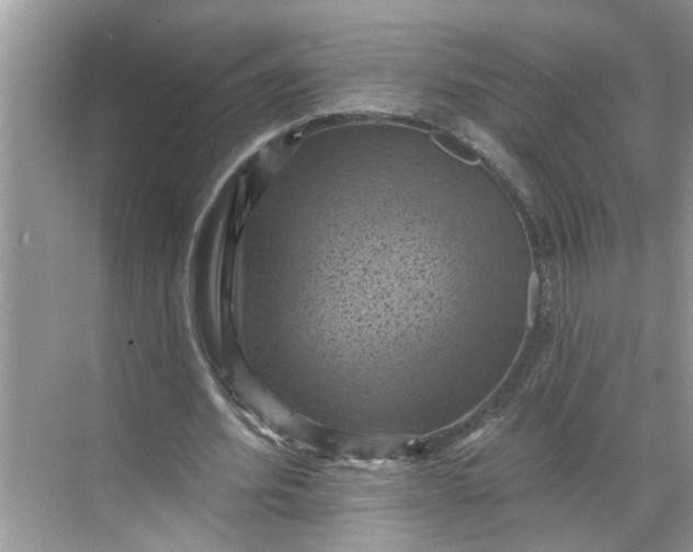 X0000068740580200605121546