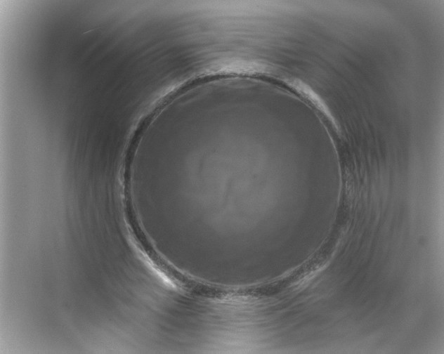 X0000068740581200605121546