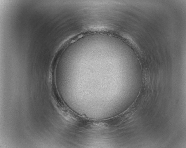 X0000068740583200605121546