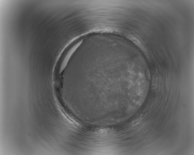 X0000068740584200605121546