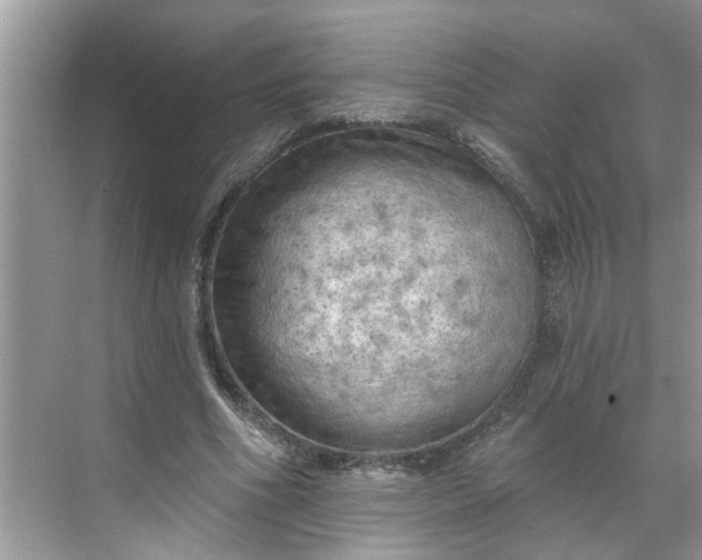 X0000068740586200605121546