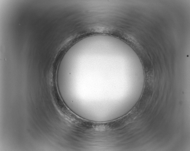 X0000068740587200605121546