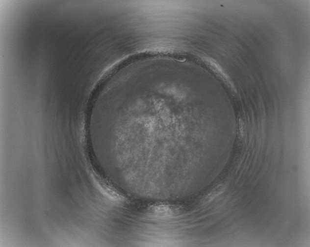 X0000068740588200605121546