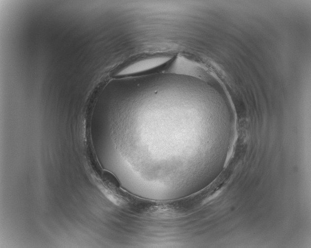 X0000068740589200605121546