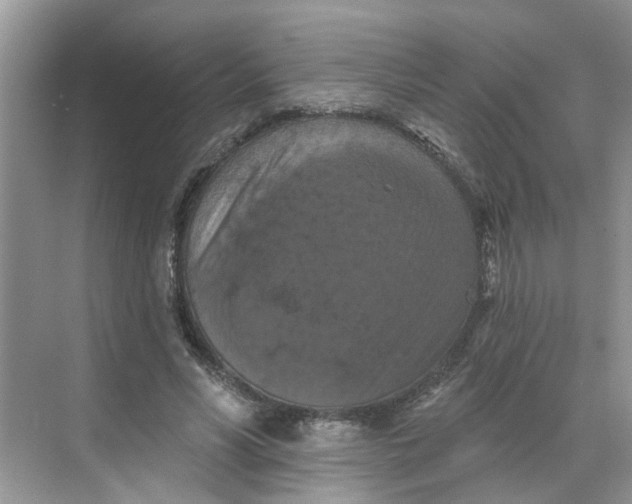 X0000068740590200605121546